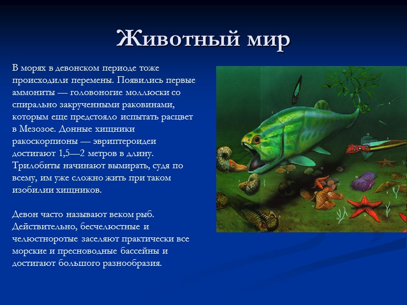 Животный мир В морях в девонском периоде тоже происходили перемены. Появились первые аммониты —